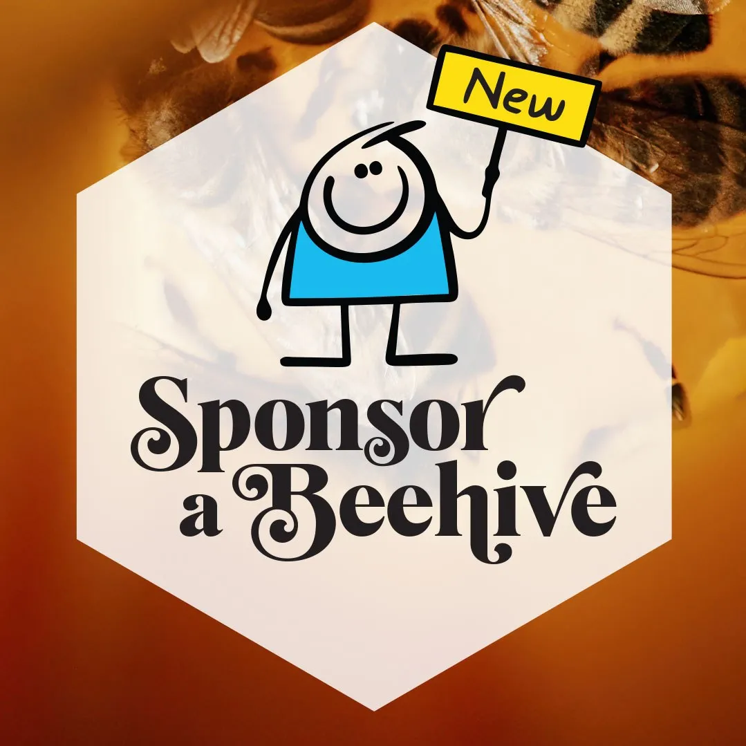 A Sponsor a Beehive graphic. A smiling stick figure holds a sign that reads New, inside a white hexagon over a honeycomb photo.